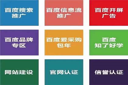 品牌信息流广告推广案例解析