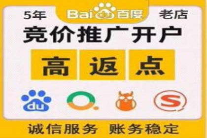 SEO关键词优化：某品牌逆袭的案例解析